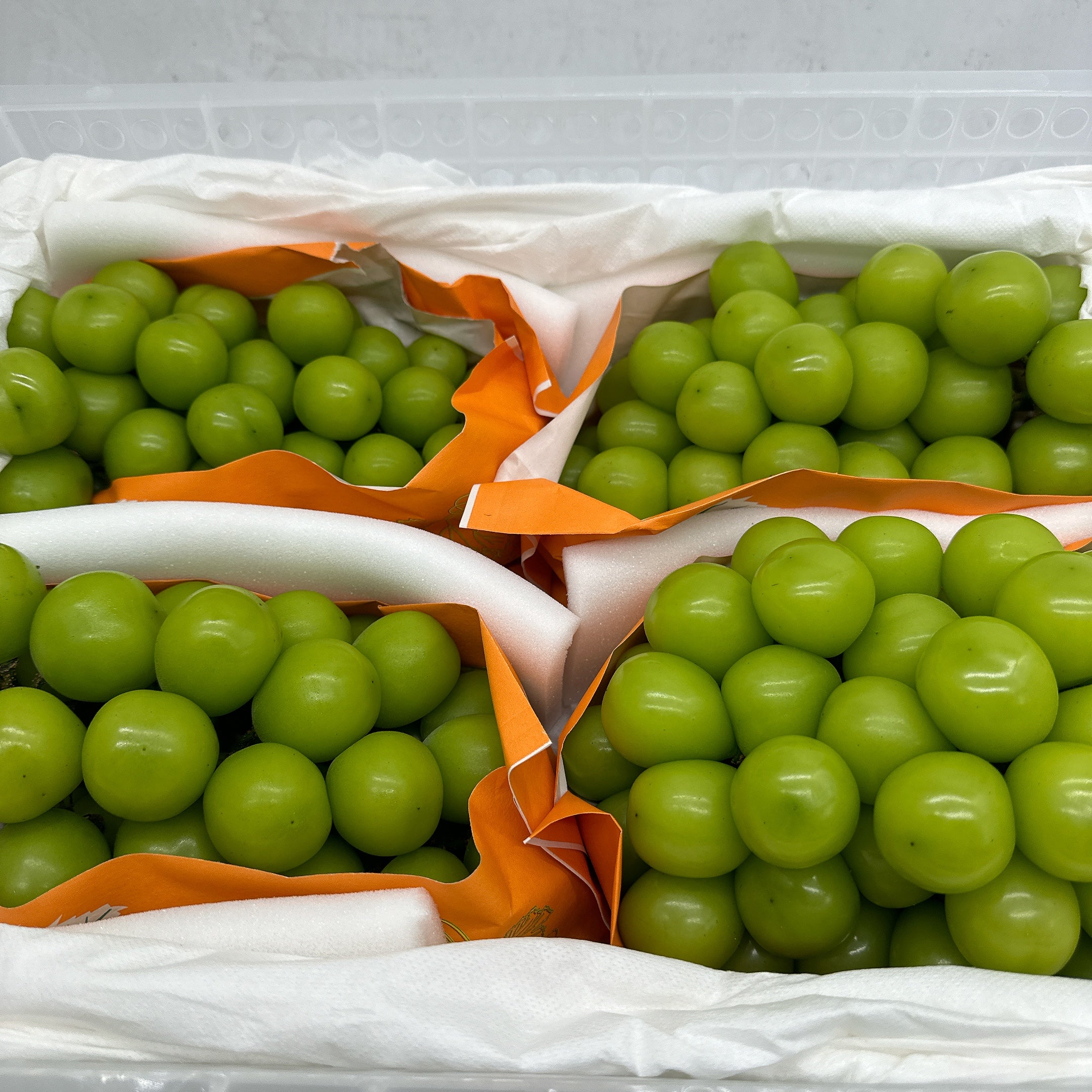 Shine-Muscat-Grapes-–-Seedless,-No-Need-to-Peel-–-1-Bunch,-Approx.-1kg-2