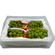 All Fruit at UMall Australia