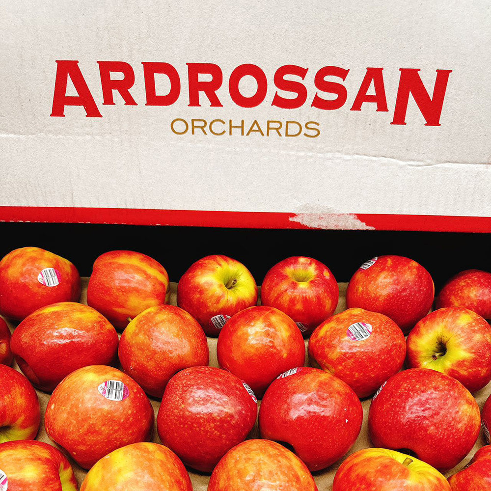 Pink Lady Apples - Box of 12kg – Umall - Australia's Largest Online ...