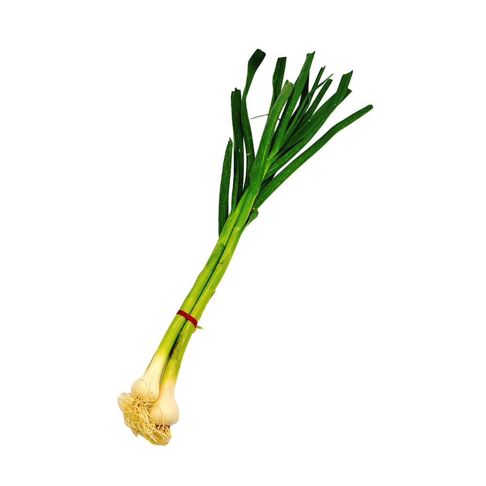 Tỏi Non (Green Garlic) 1 bó – tươi ngon, thơm nồng