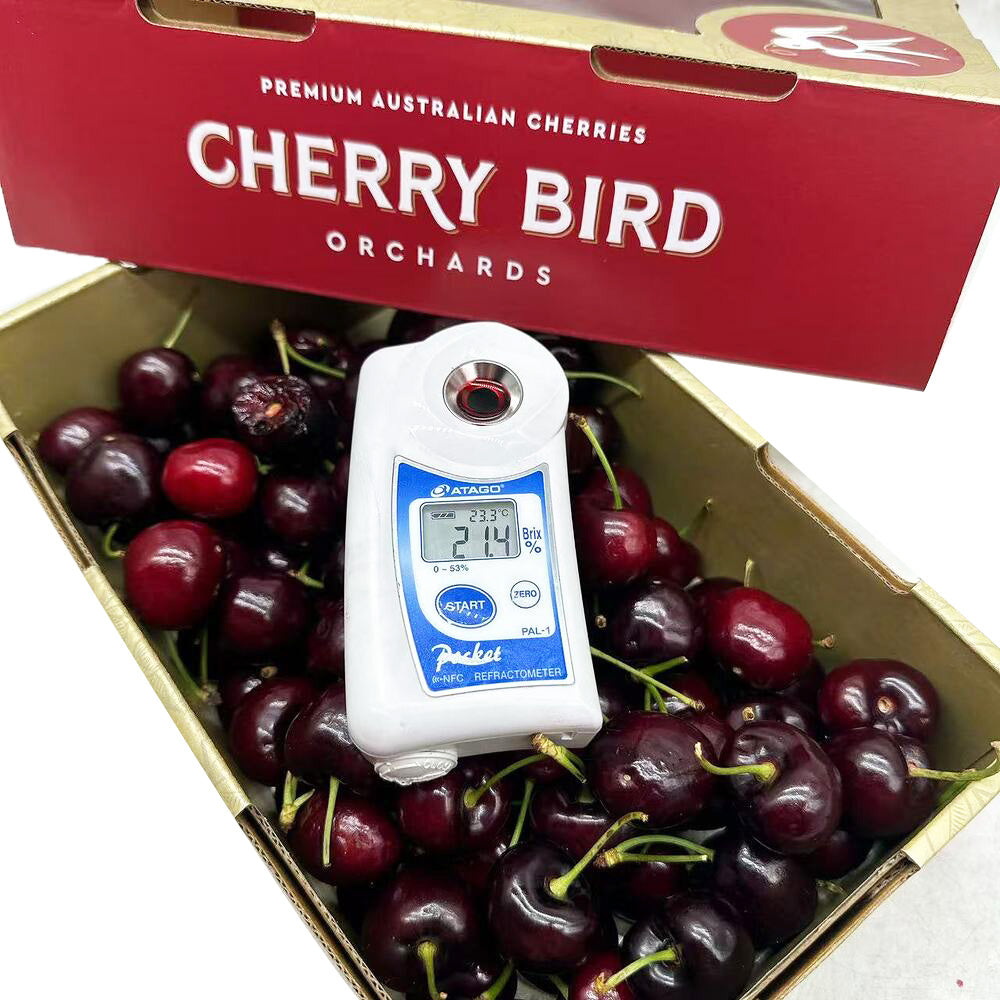 cherry-bird-santina-cherries-gift-box-28-30mm-approx-1kg-3