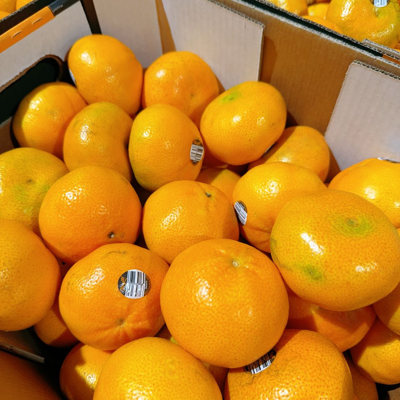 ¡¾Fresh¡¿Umall-Own-Brand-Seedless-Oranges---Approximately-900-1000g-1