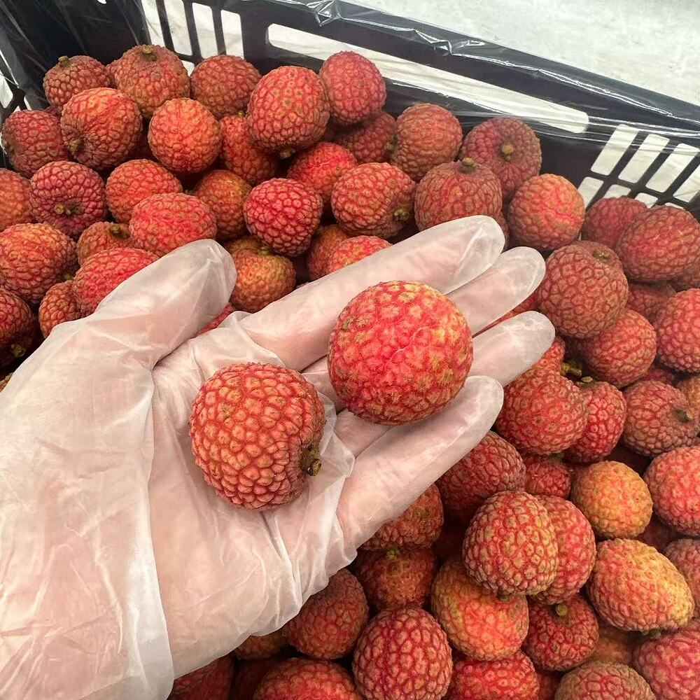 fresh-australian-lychees-approx-5kg-carton-1