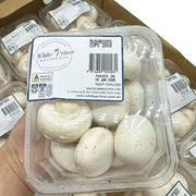 Best Sellers at UMall Australia