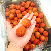 All Fruit at UMall Australia