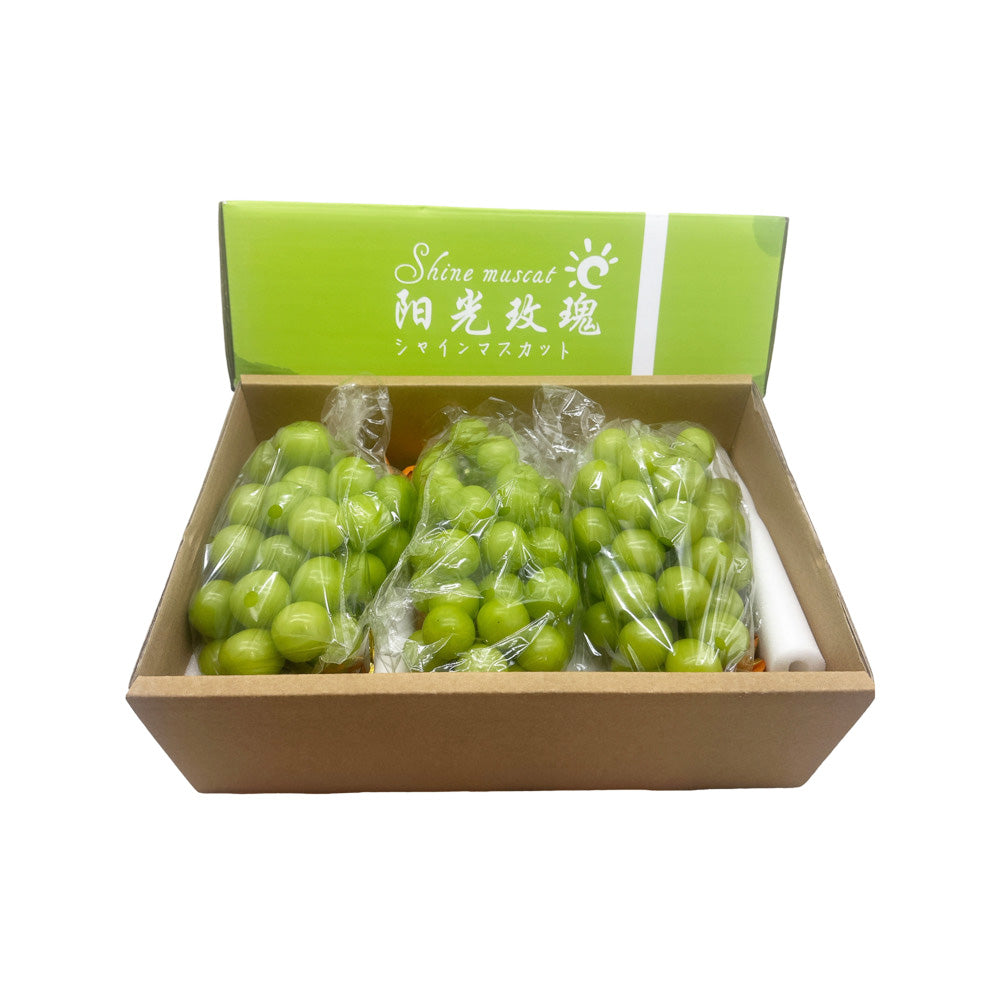 Shine-Muscat-Grapes-–-Air-Freighted-from-China,-Box-2.5kg---Sunshine-Rose-Seedless-Green-Grapes-1