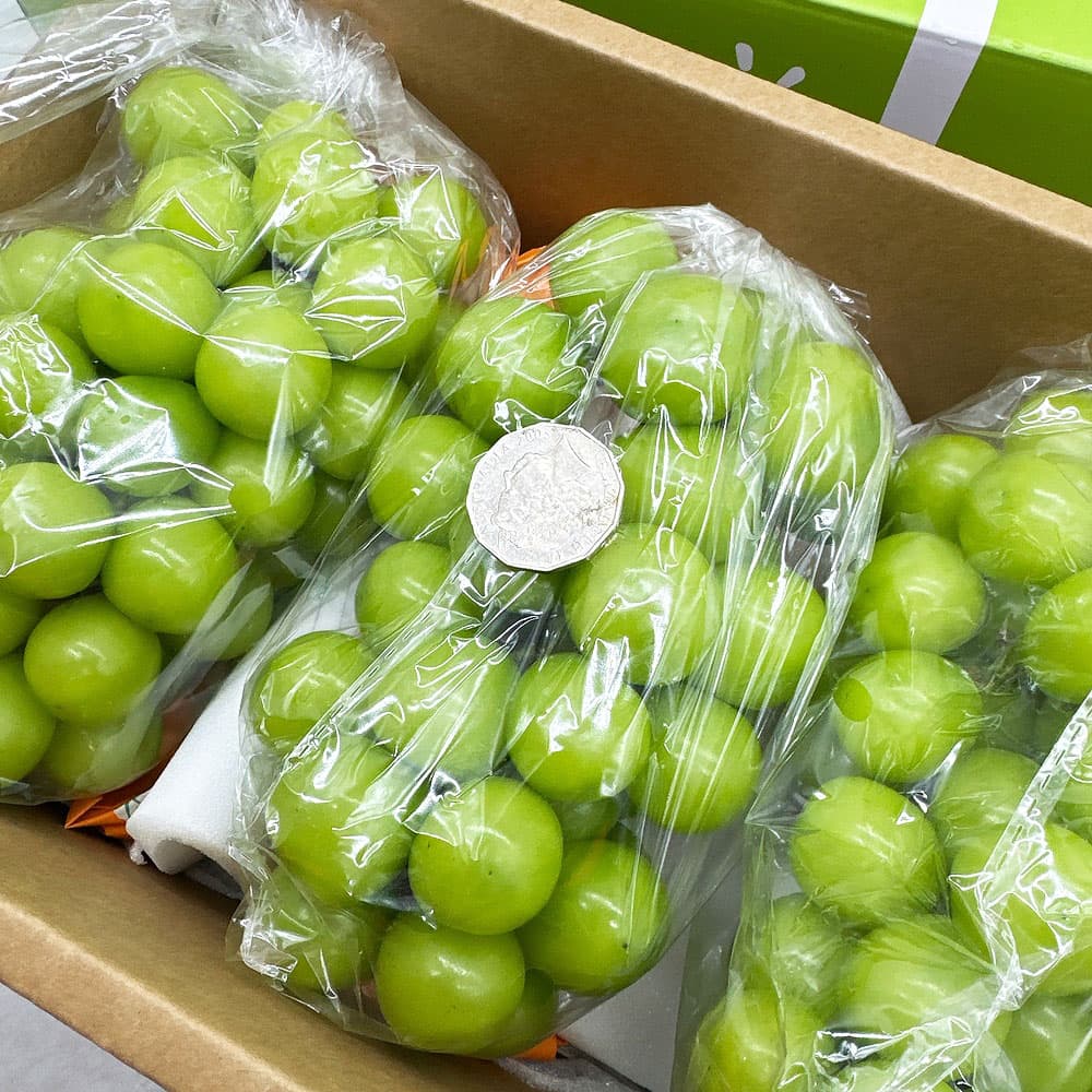 Shine-Muscat-Grapes-–-Air-Freighted-from-China,-Box-2.5kg---Sunshine-Rose-Seedless-Green-Grapes-3