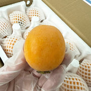 All Fruit at UMall Australia
