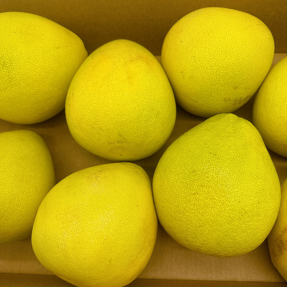 Ultra-Sweet-Seedless-Jinlan-Pomelo---1-Piece,-1.2-1.4kg-1