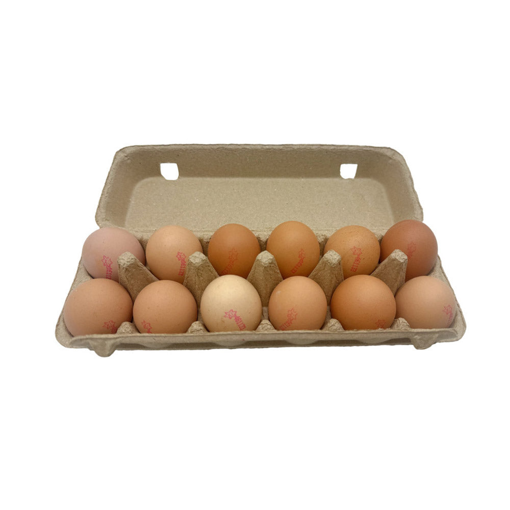 Jones-Bros-Nature's-Free-Range-Eggs-XL---12-Pieces,-700g-1