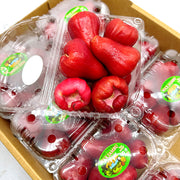 All Fruit at UMall Australia