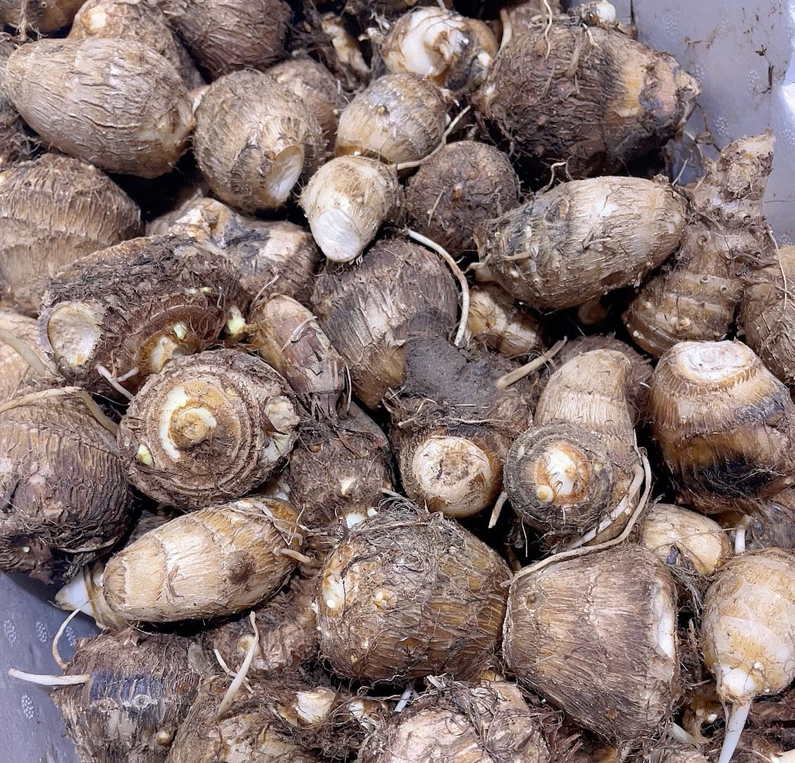 Taro Root Small Fresh Small Taro - 1kg – Umall - Sydney's Largest Online Asian Supermarket
