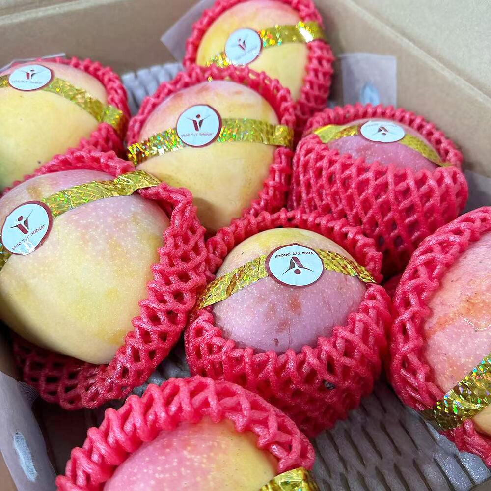 Vietnamese Air-Flown R2E2 Mango - 1 Piece – Umall - Australia's Largest ...