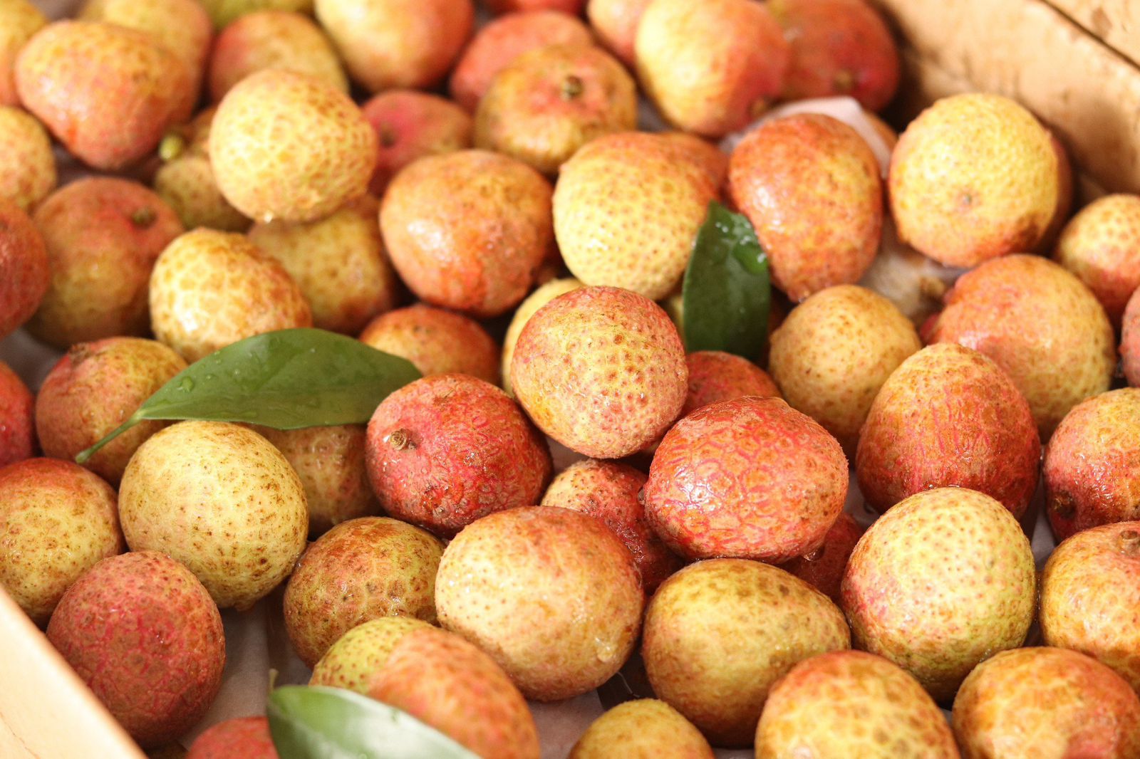 Imported-Sticky-Rice-Lychee---400g-1