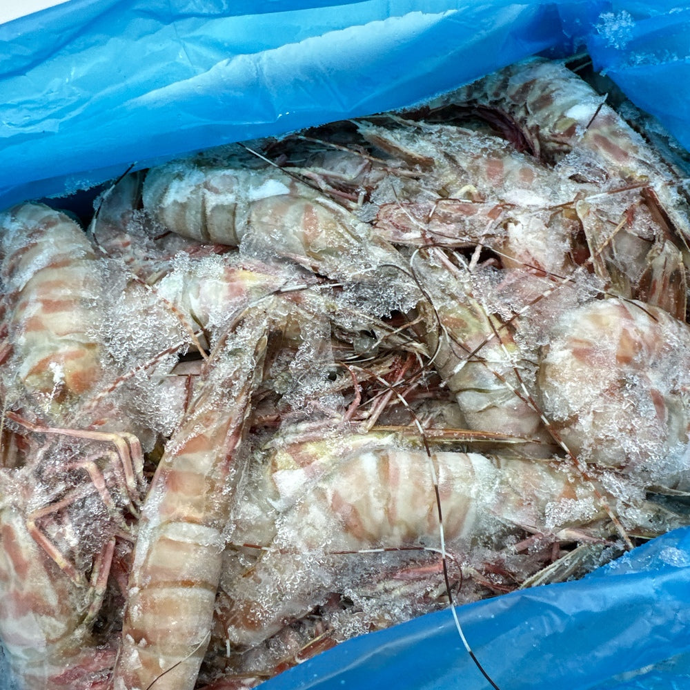 Tarni-Brand-Sashimi-Grade-Raw-Brown-Tiger-Prawns-Size-9/12---3kg-1
