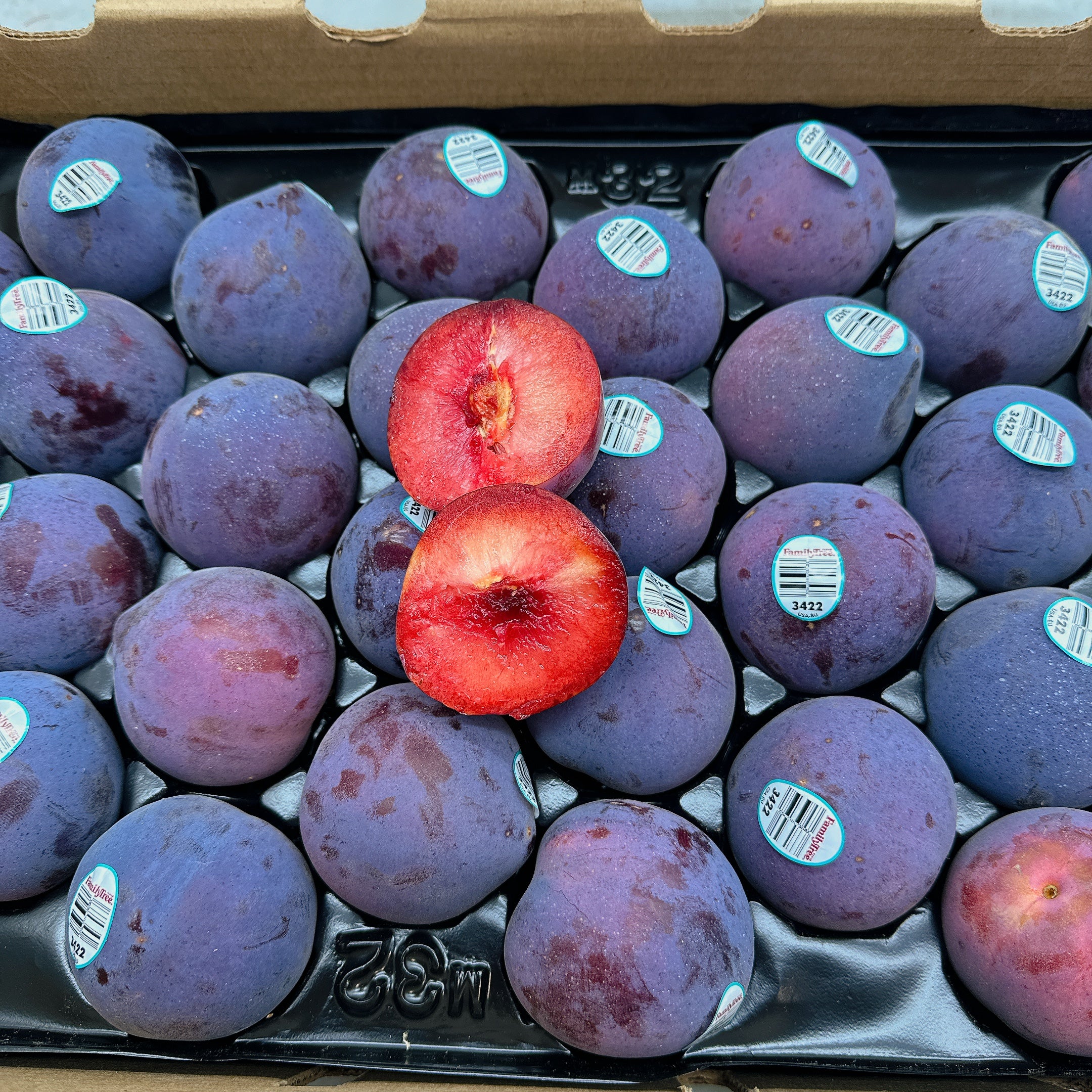 Midnight-Rose-Dinosaur-Egg-Pluots-–-4-Pieces-1