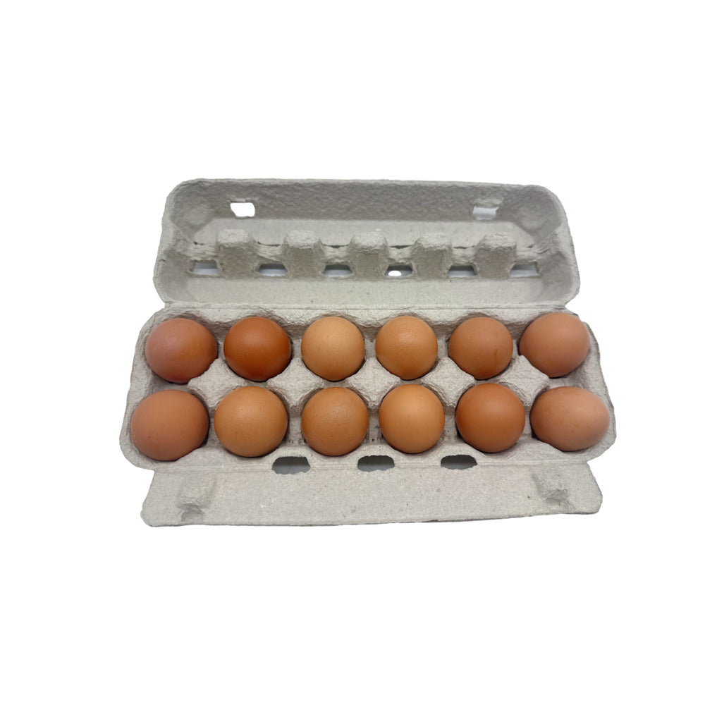Pace-Farm-Fresh-Eggs---12-Pieces,-500g-1