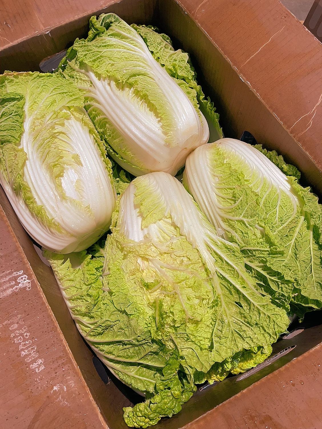 [Fresh]-Whole-Chinese-Cabbage-1