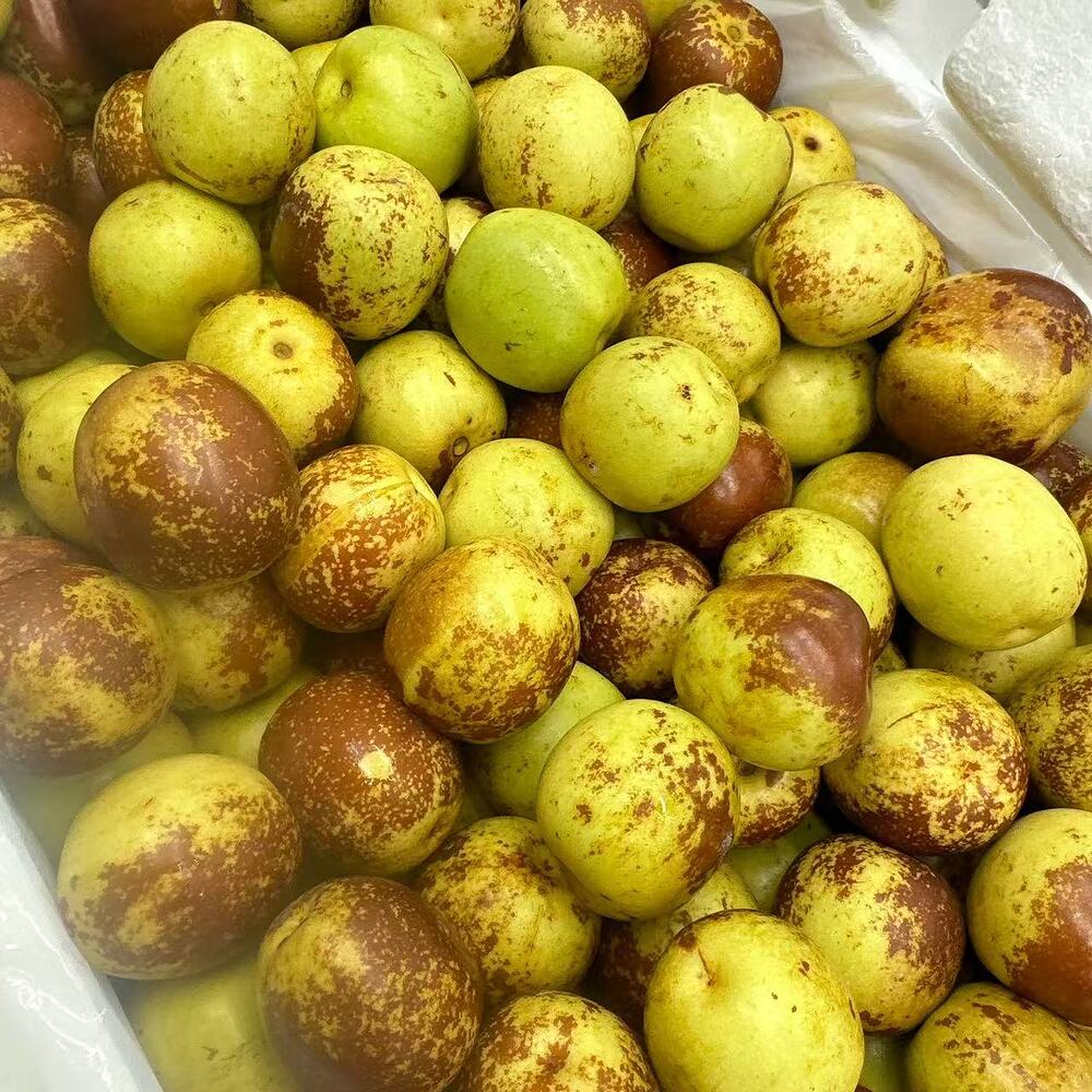fresh-chinese-crispy-sweet-jujubes-approx-4-5kg-box-3