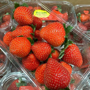 All Fruit at UMall Australia