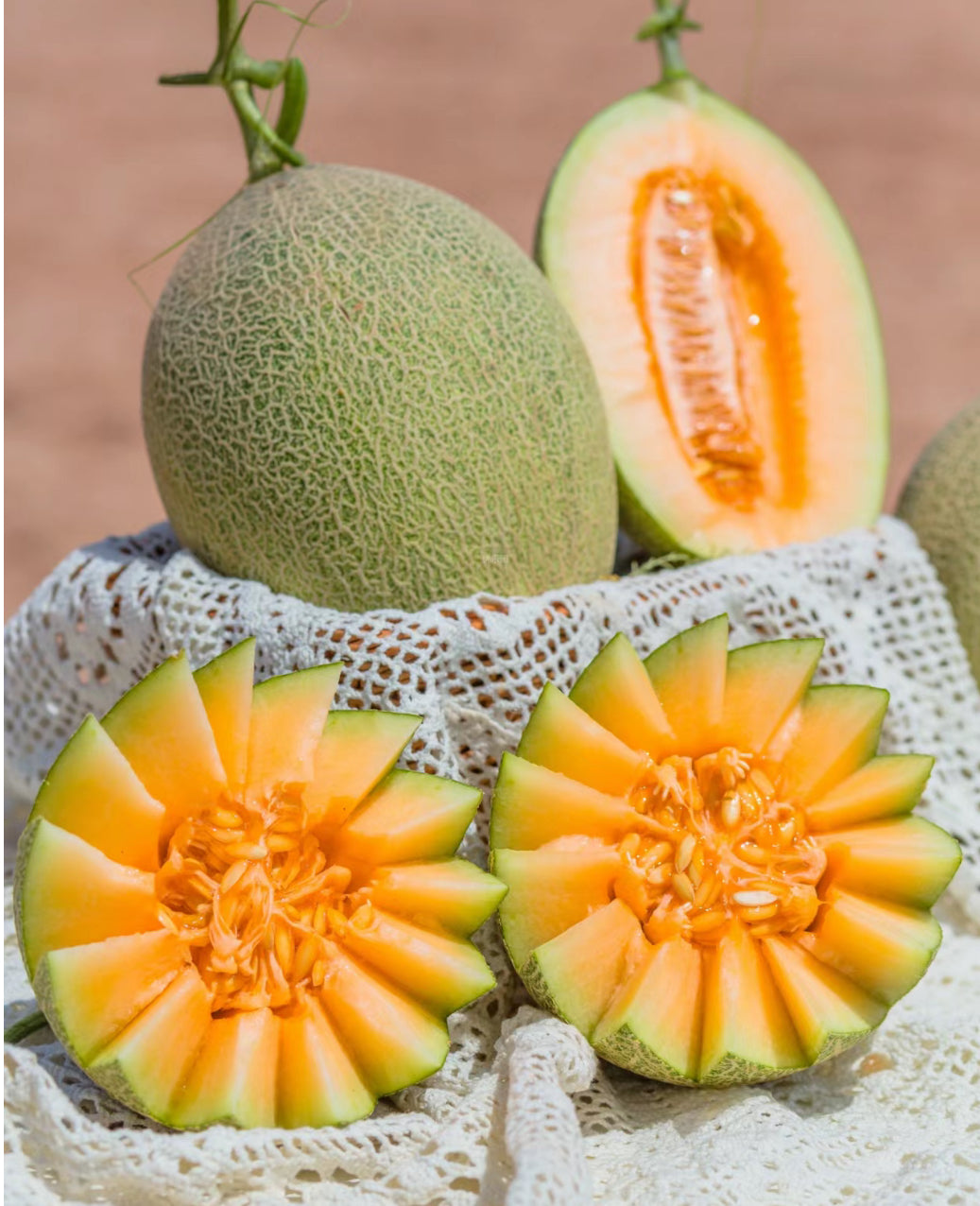 Rckmelon Rockmelon Big Size 1 Piece – Umall - Australia's Largest Online Asian ...