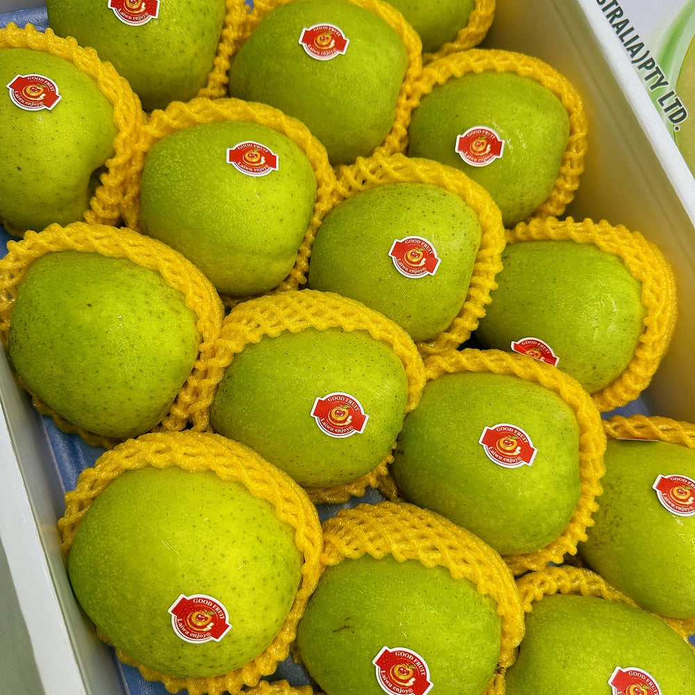 Wang-Lin-Apple---1-Piece-1