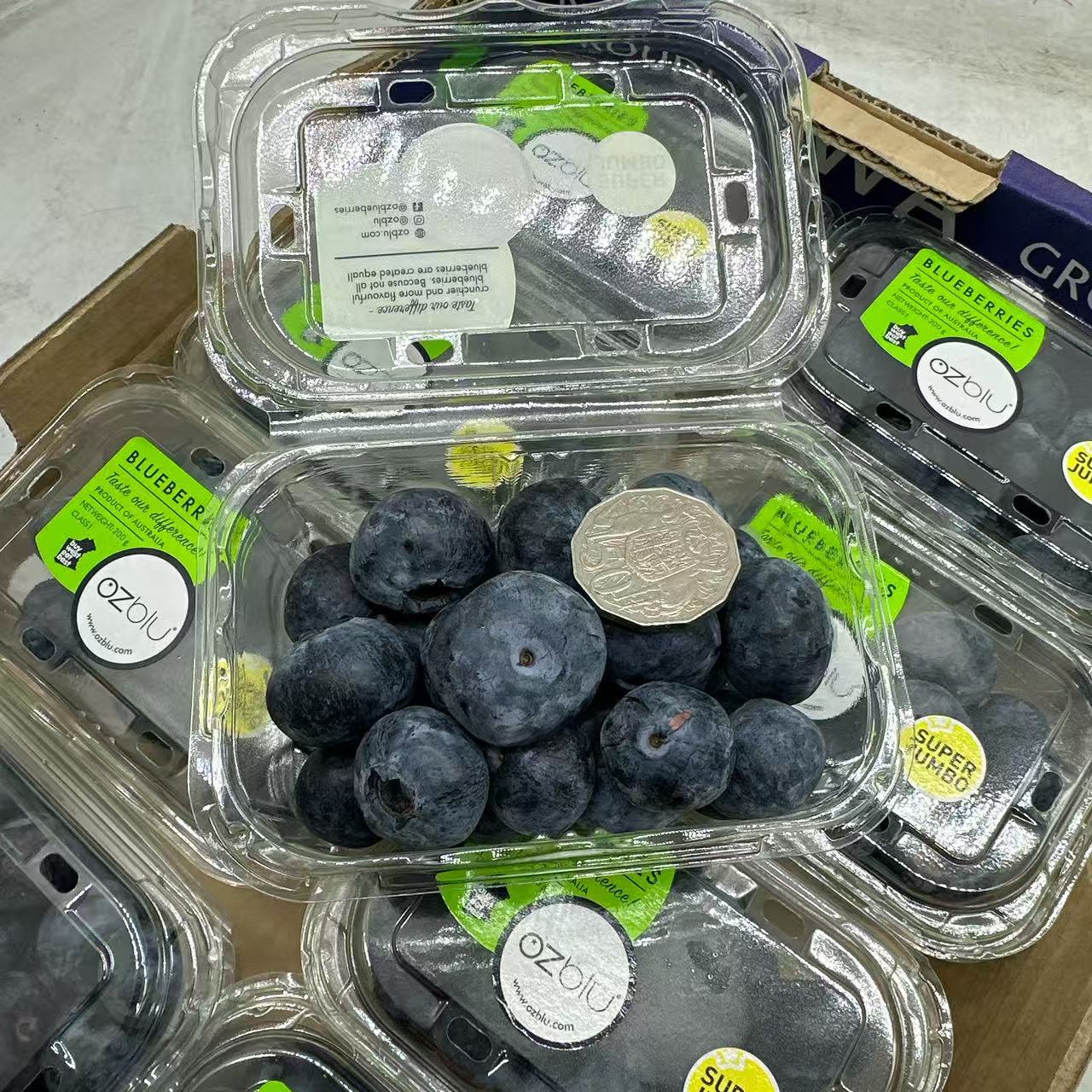 Australian-OZblu-Super-Jumbo-Blueberries-–-200g-Punnet-1
