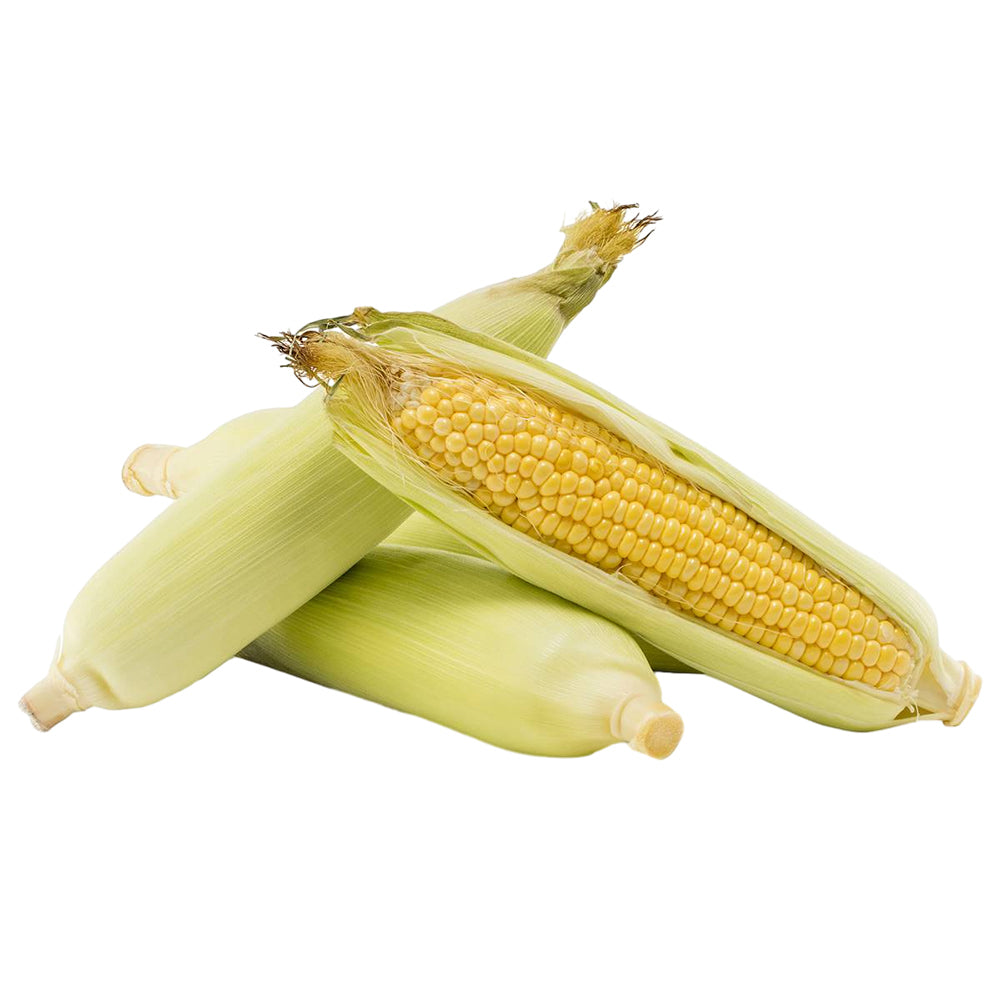 [Fresh]-2-Corn-Cobs-1