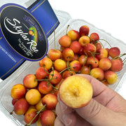 Tất cả trái cây at UMall Australia