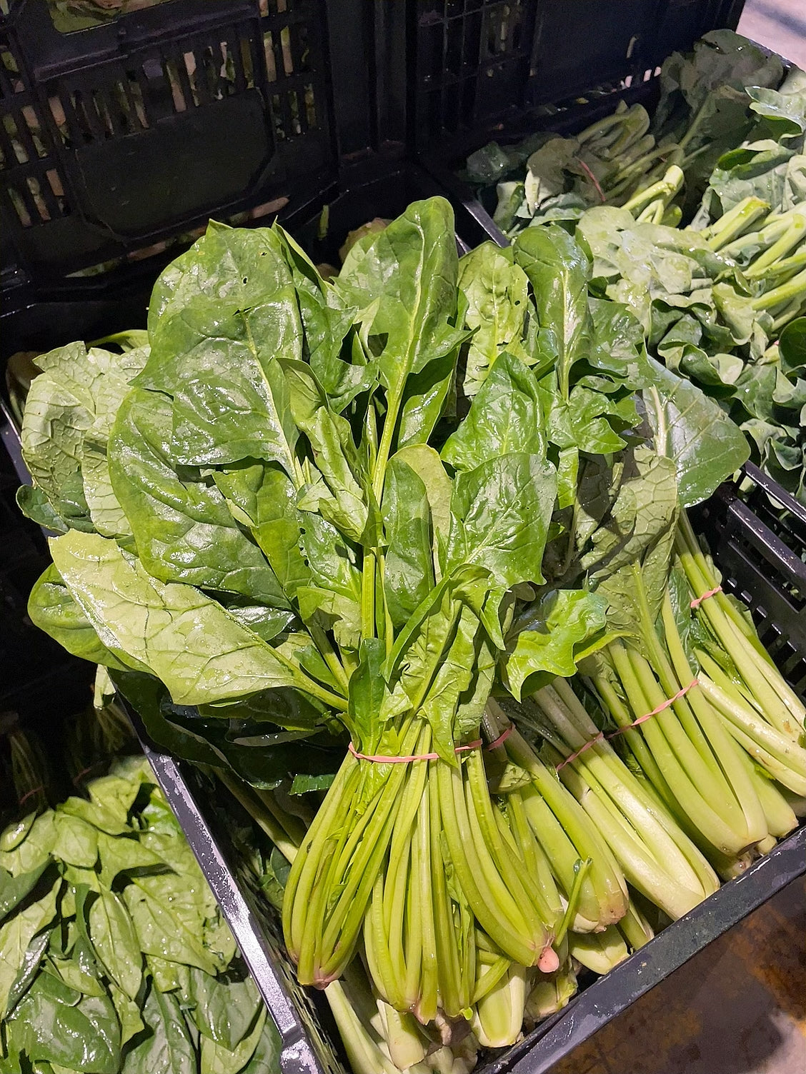 [Fresh]-Bundle-of-Spinach---1-Bundle-1
