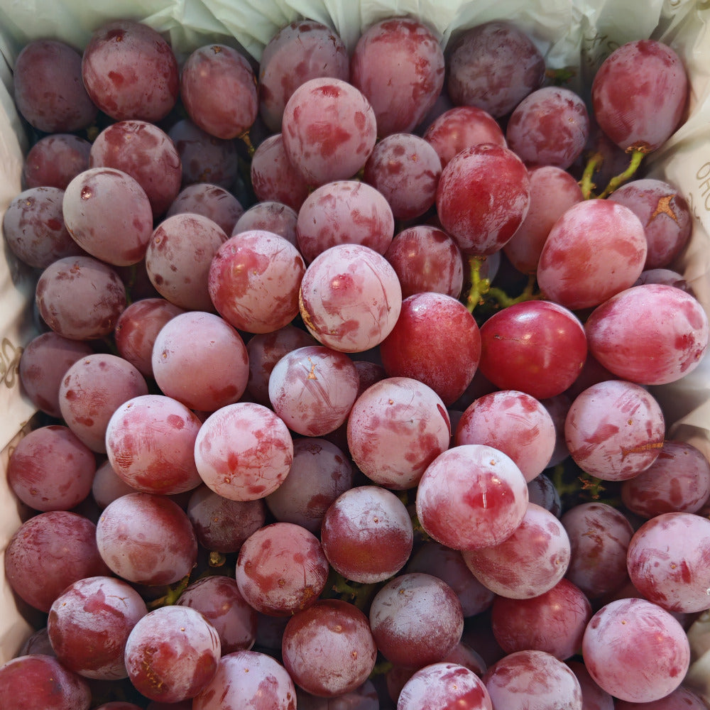 Kyoho Princess Jelly Kyoho Grapes - 2kg Box – Umall - Australia's ...