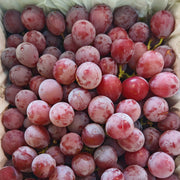 All Fruit at UMall Australia