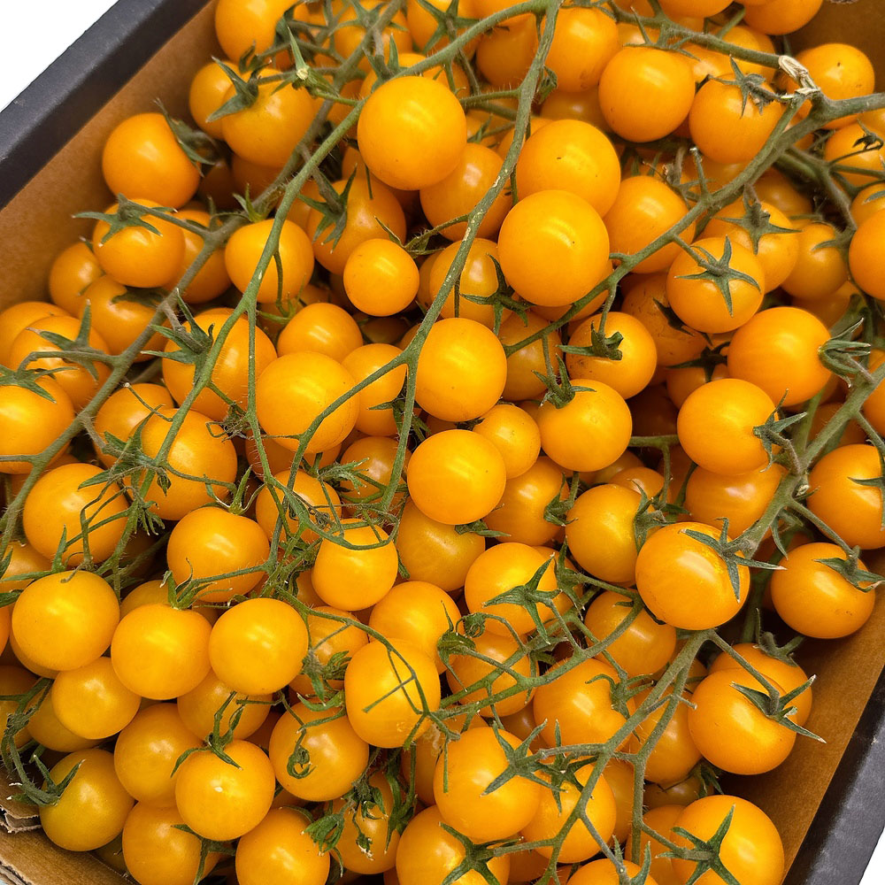 Crisp-Sweet-Yellow-Tomatoes-on-the-Vine---500g-1