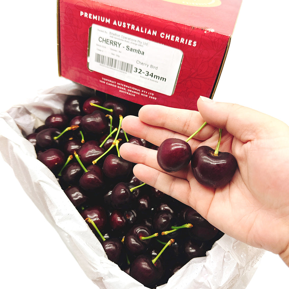 Bite Riot Box BiteRiot Samba Premium Cherries Gift Box 32-34mm - 2kg – Umall ...